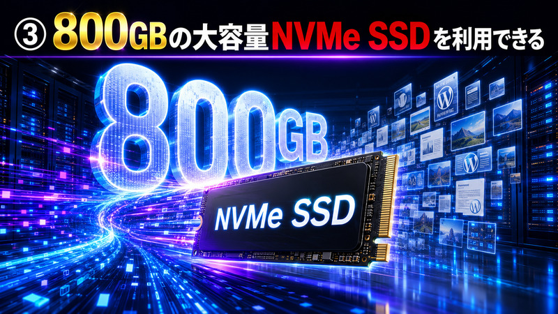 Oneレンタルサーバーのベーシックプランで800GBの大容量NVMe SSDを利用できることを表した画像